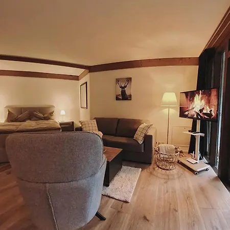 Am Duerrbach 4-413 Appartement-fewo 2-bettwohnung By Interhome Engelberg