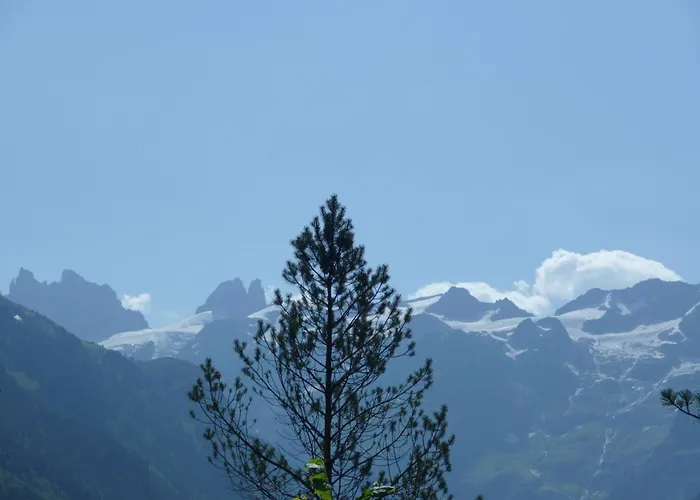 Am Duerrbach 4-413 By Interhome Apartment Engelberg